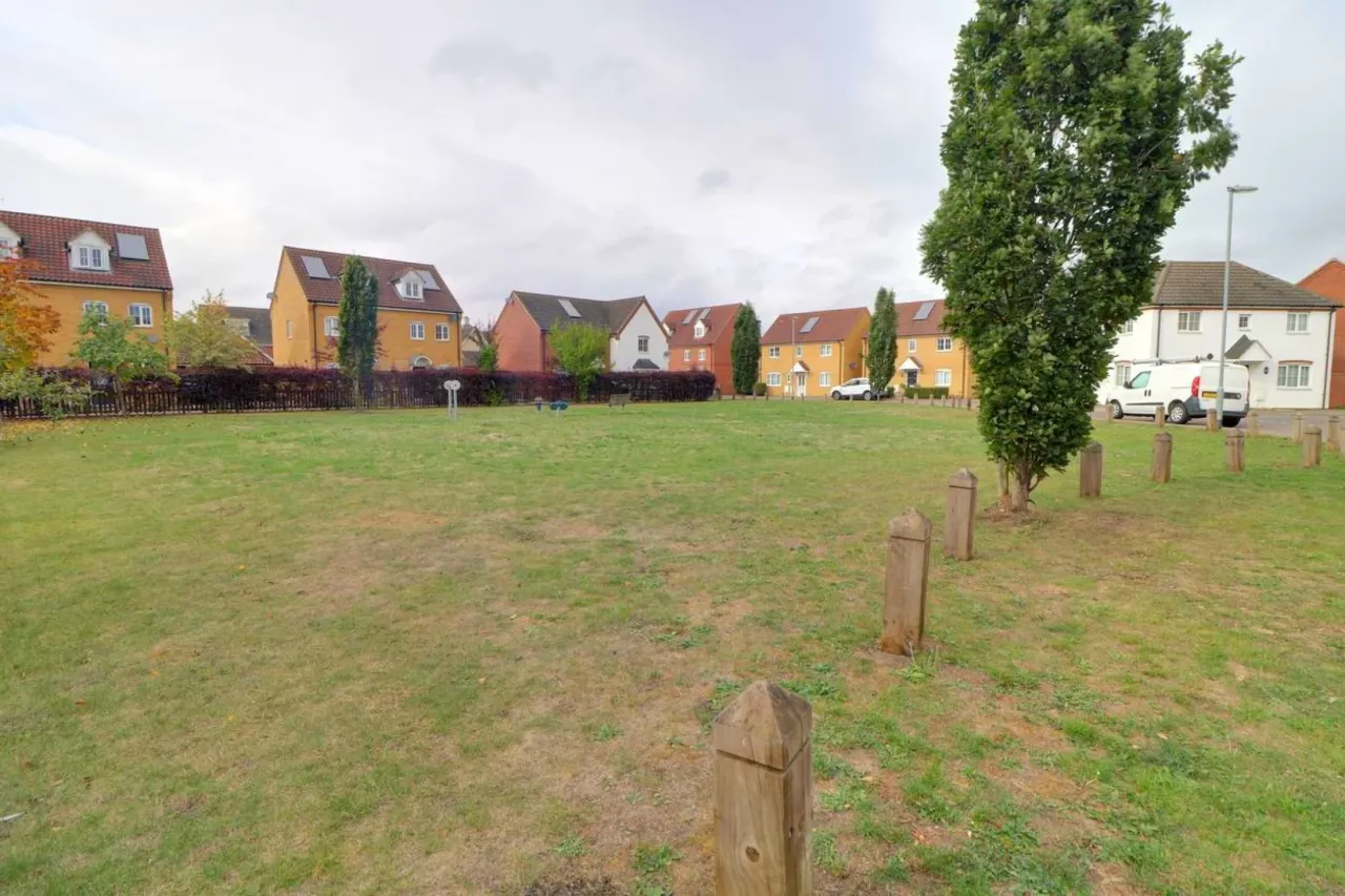Robin Avenue, Harleston, photo 27