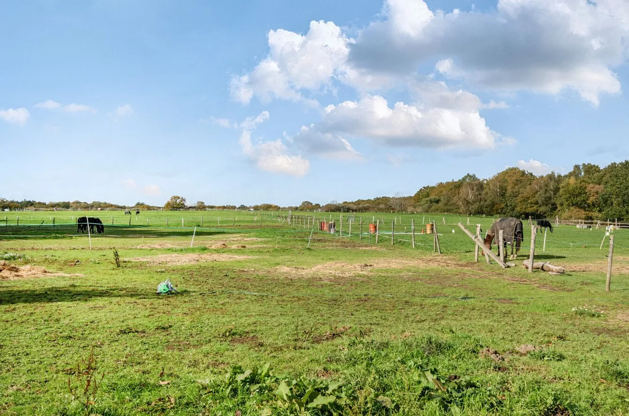 Flexford Road, Chandlers Ford, SO52, photo 9