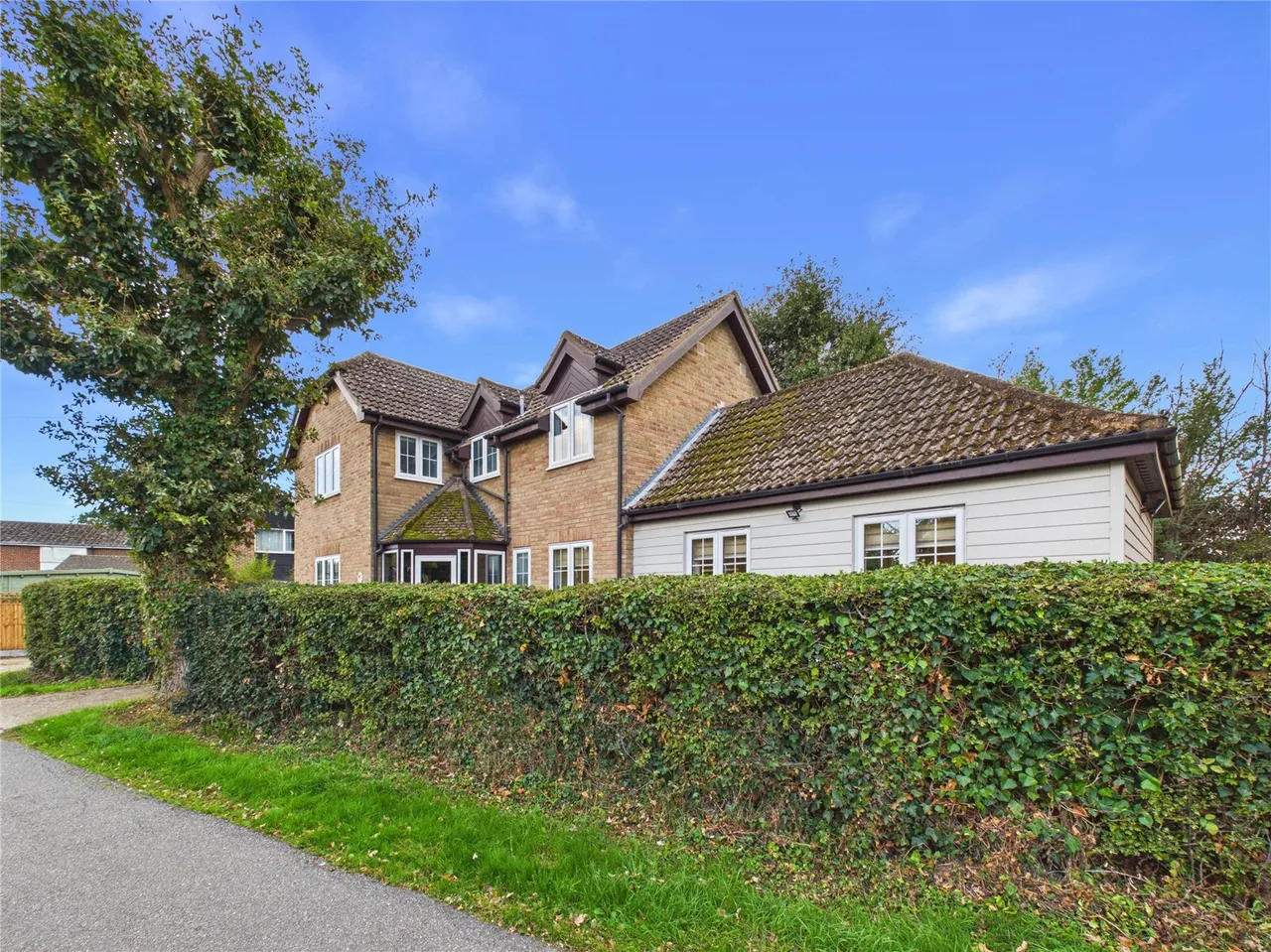 Mill Lane, Birch, CO2, photo 34