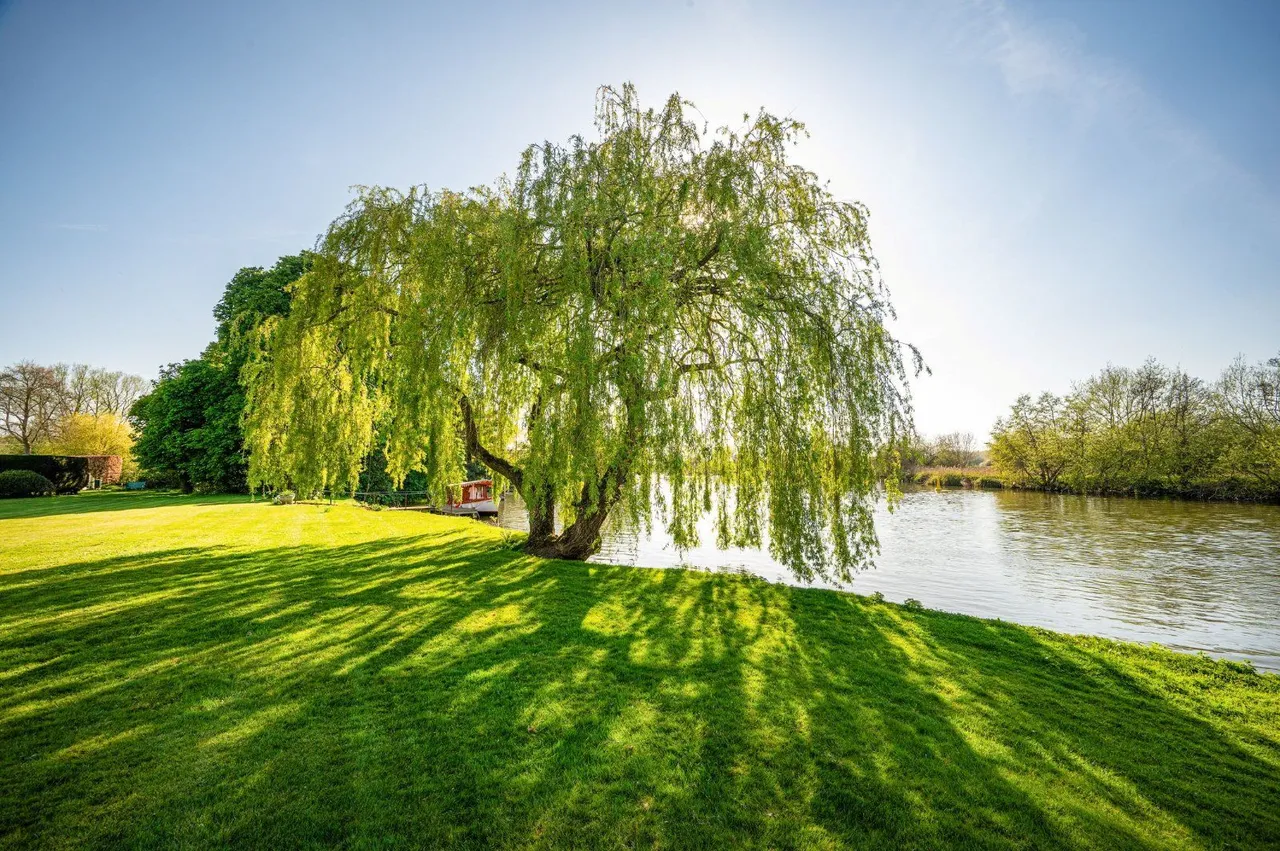 Thames Drive, Sonning, Charvil, RG10 9TP, photo 11