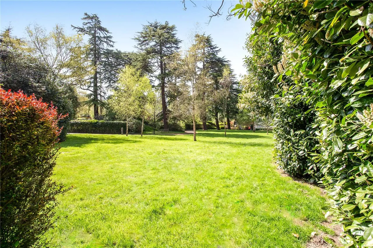Badgers Holt, Tunbridge Wells, Kent, TN2 3ET, photo 12