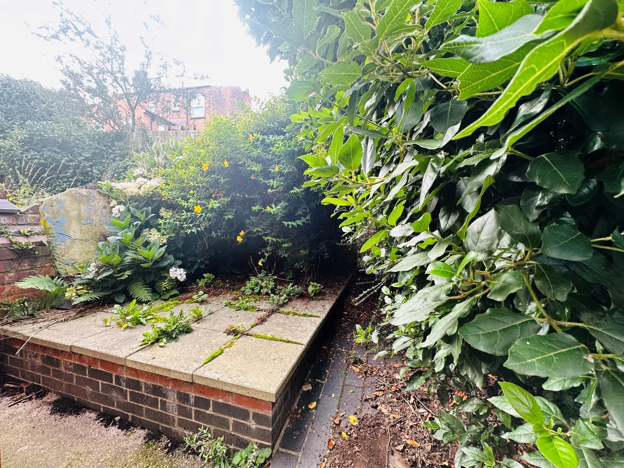 Loughborough Avenue, Nottingham, NG2, photo 9