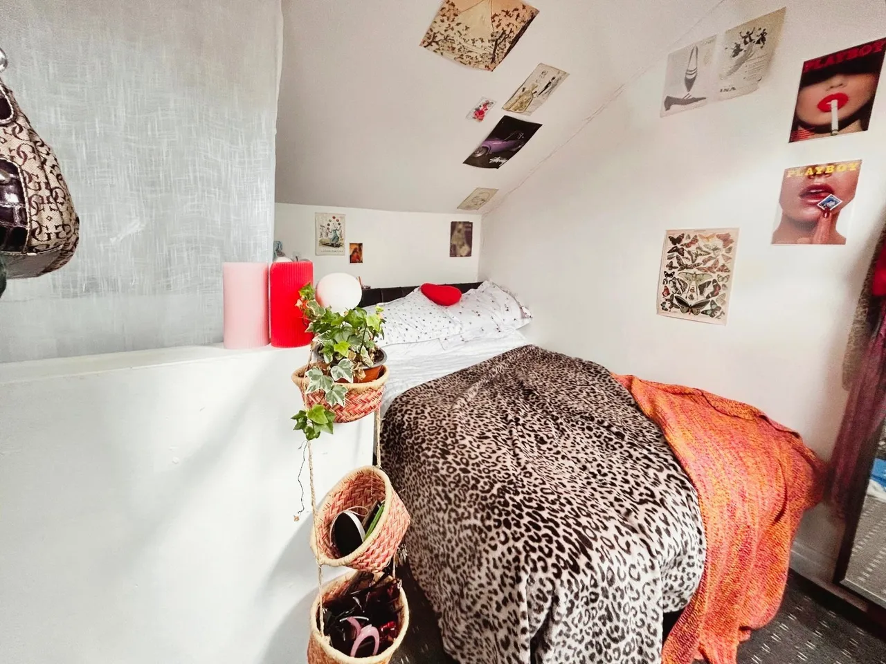Thorn Grove, Manchester, M14, photo 5