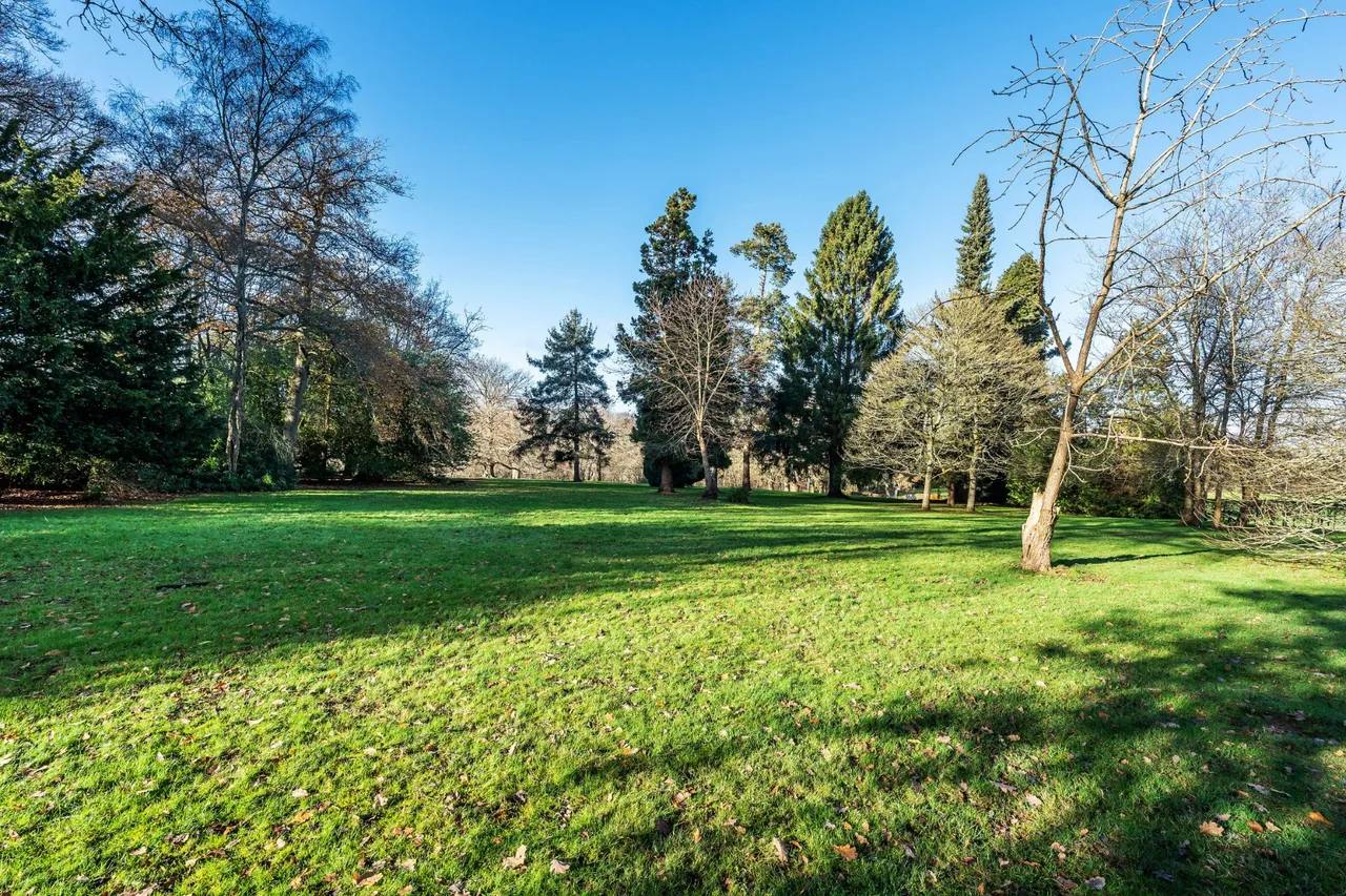 Home Farm Road, Godalming, GU7, photo 43