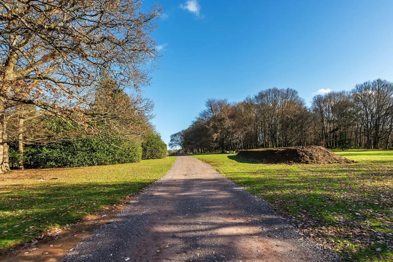 Home Farm Road, Godalming, GU7, photo 36