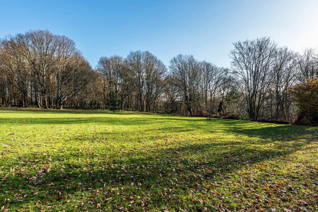Home Farm Road, Godalming, GU7, photo 38