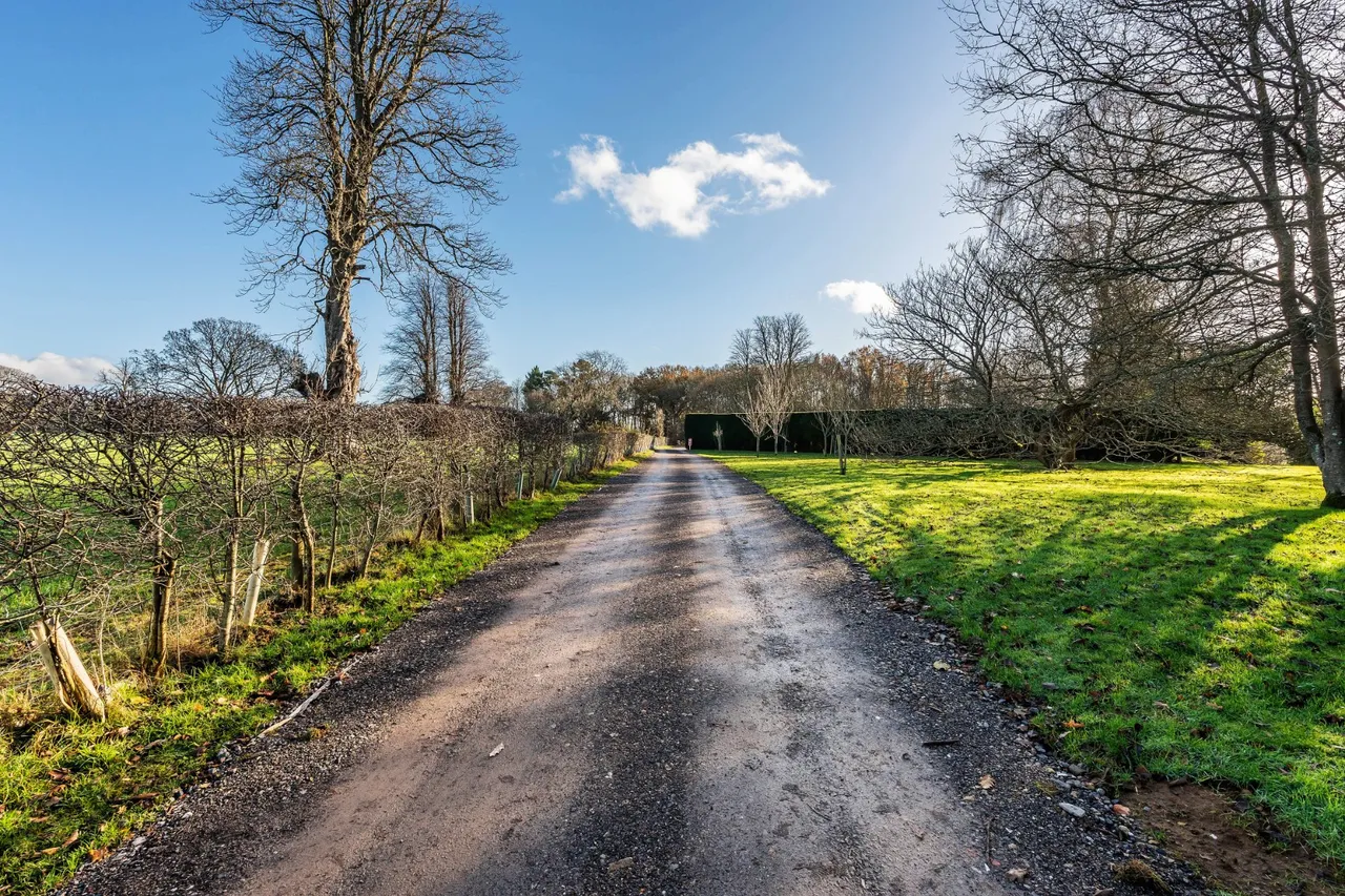 Home Farm Road, Godalming, GU7, photo 37