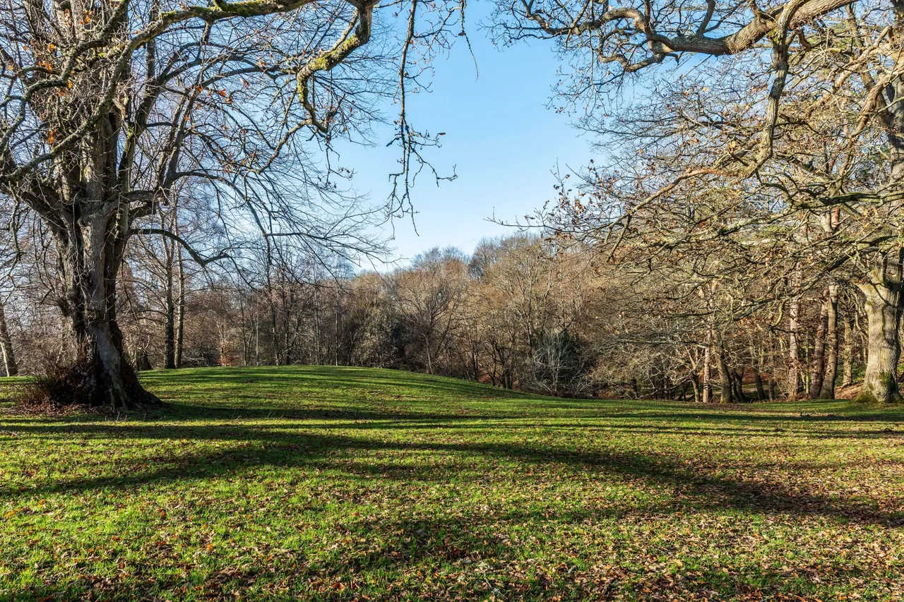 Home Farm Road, Godalming, GU7, photo 32