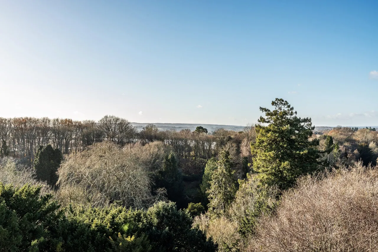 Home Farm Road, Godalming, GU7, photo 30