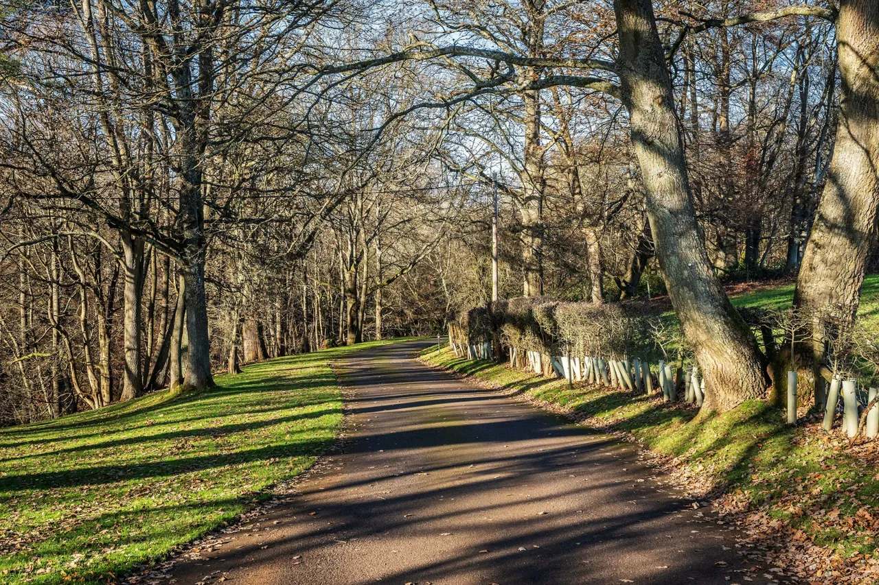 Home Farm Road, Godalming, GU7, photo 31