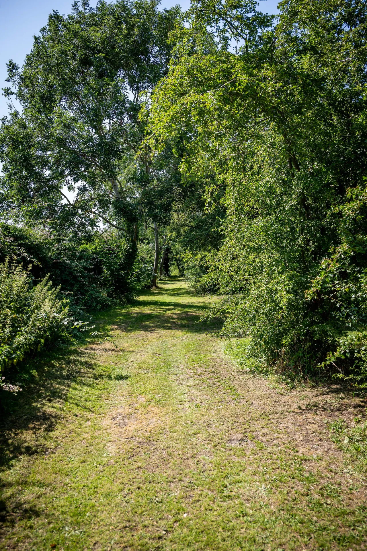 New Road, Clifton, SG17, photo 22