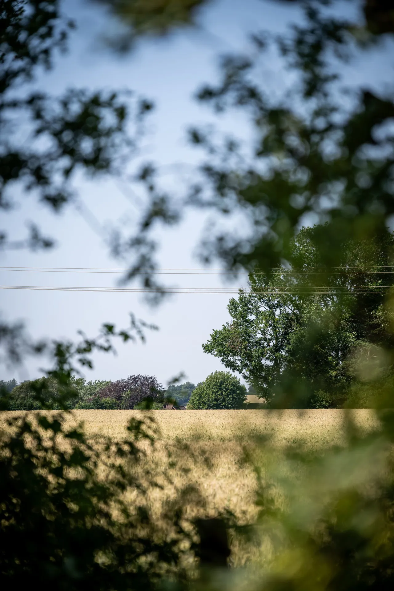 New Road, Clifton, SG17, photo 24