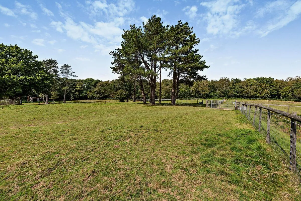 Chillies Lane, High Hurstwood, TN6, photo 22