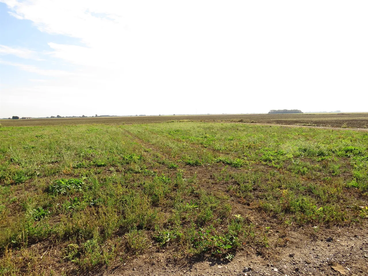 Whittlesey Road, March, PE15, photo 6