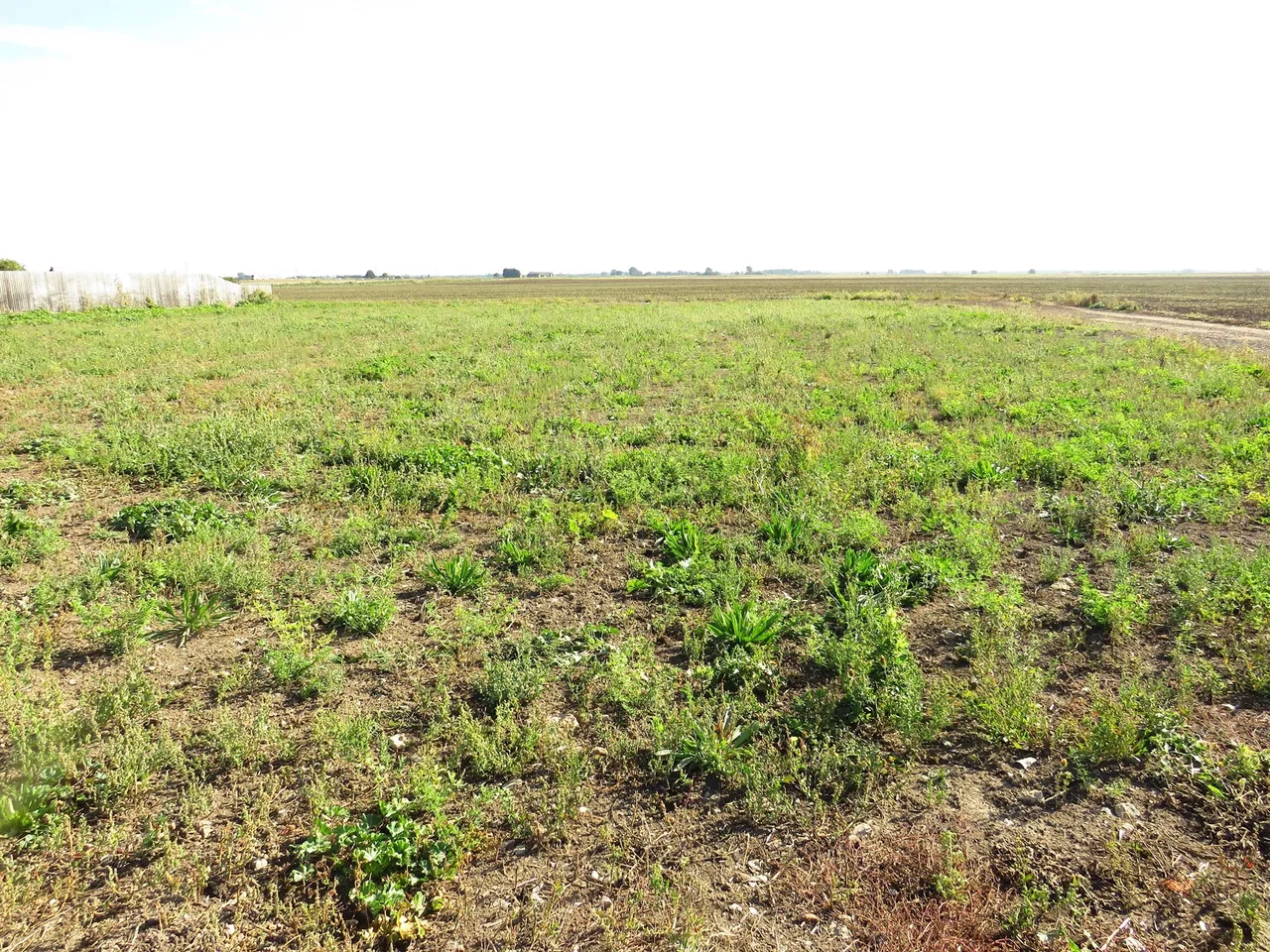 Whittlesey Road, March, PE15, photo 5