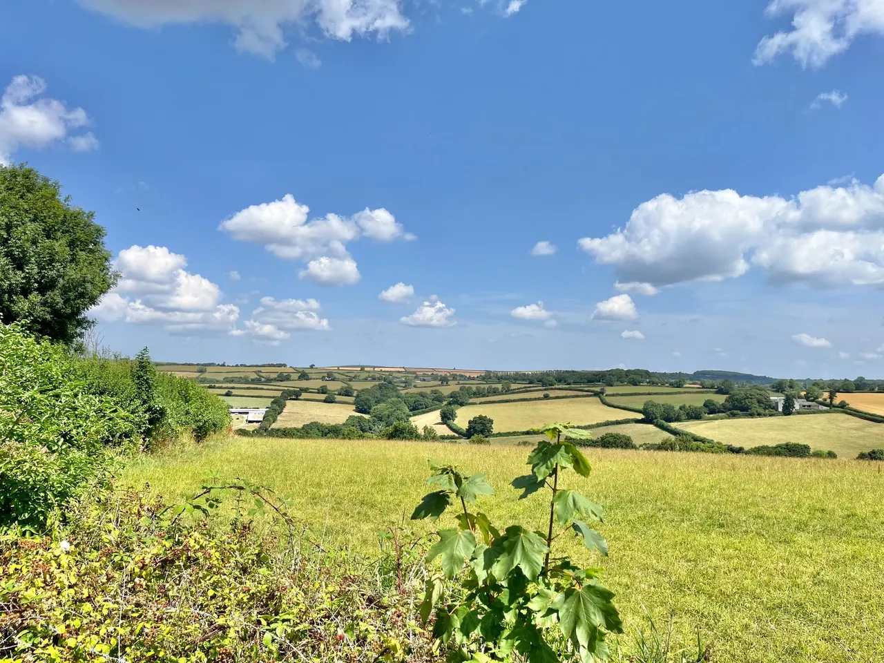 Glebe Cottage, Pillaton, PL12, photo 16