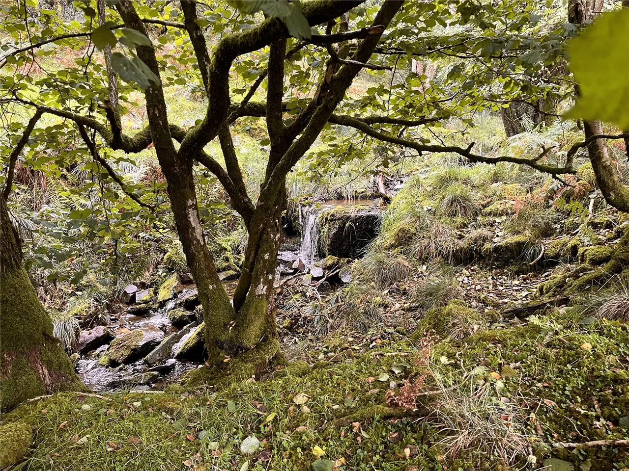 Heol Senni, Brecon, Powys, LD3 8SU, photo 8
