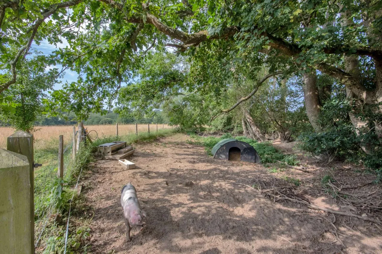 Pound Lane, Framfield, TN22, photo 25