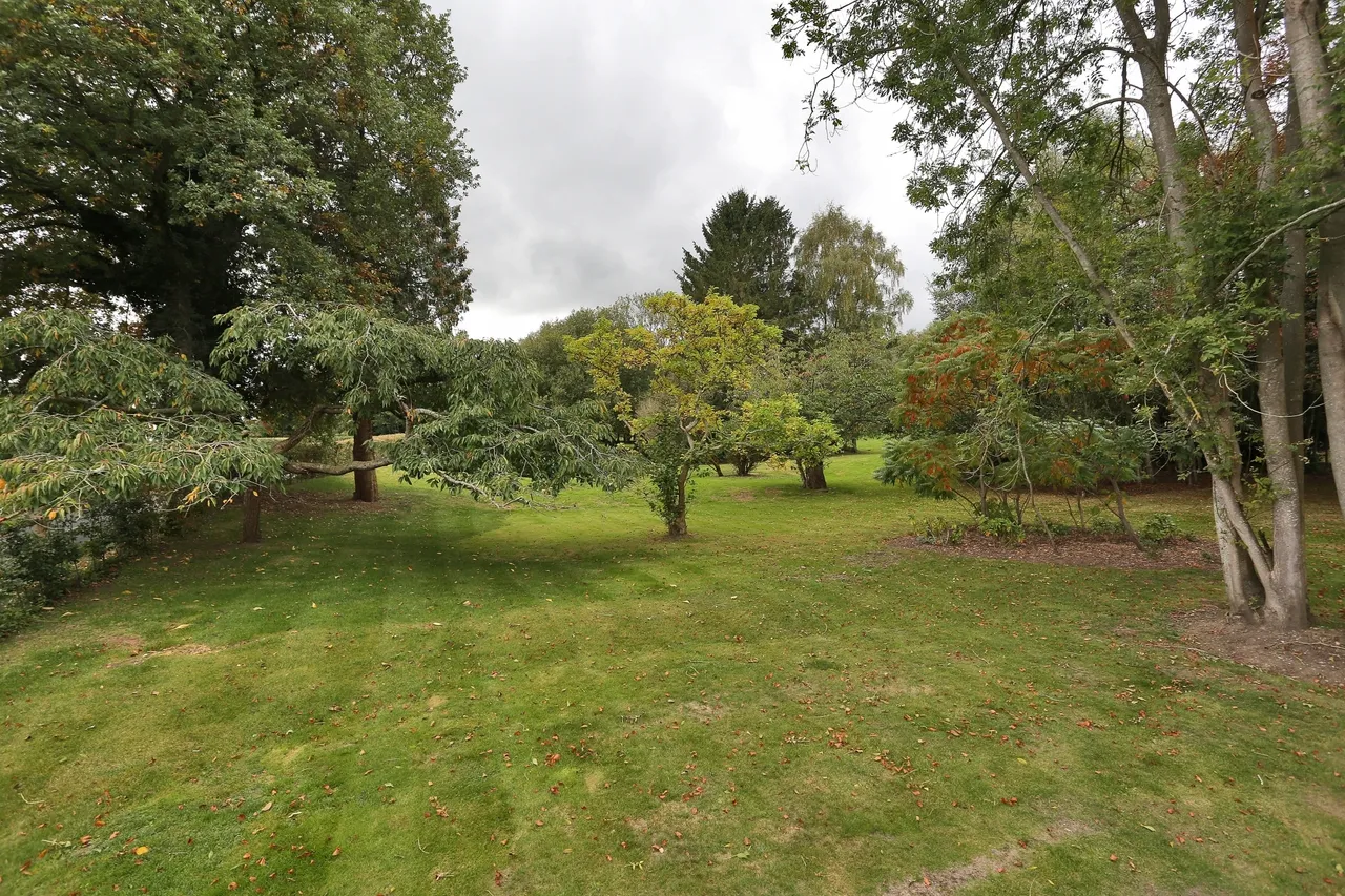 Birchfield, Sundridge, TN14, photo 16