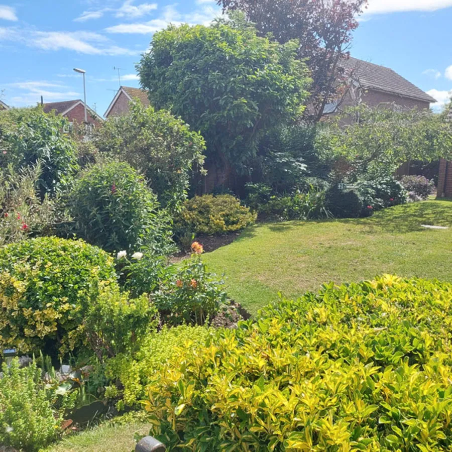 Goring Road, Worthing, BN12, photo 15