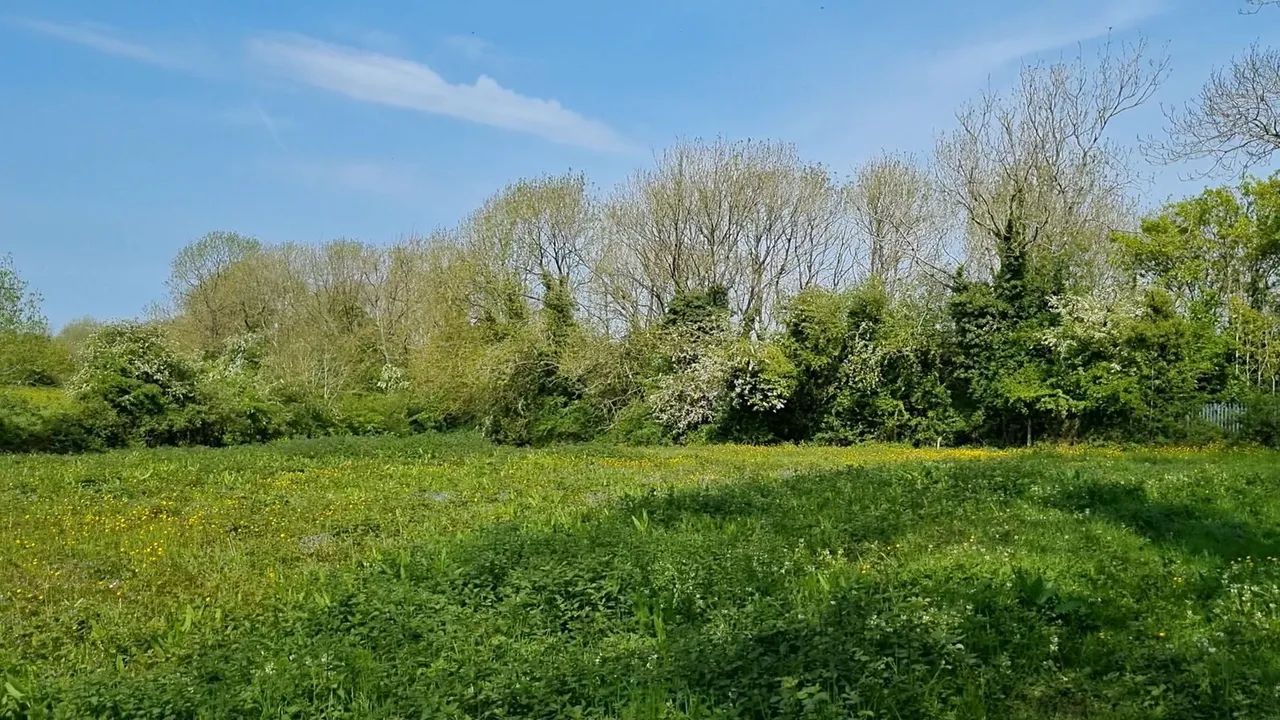 Development opportunity, Hall Lane, Harbury, Leamington Spa, CV33 9HG, photo 14