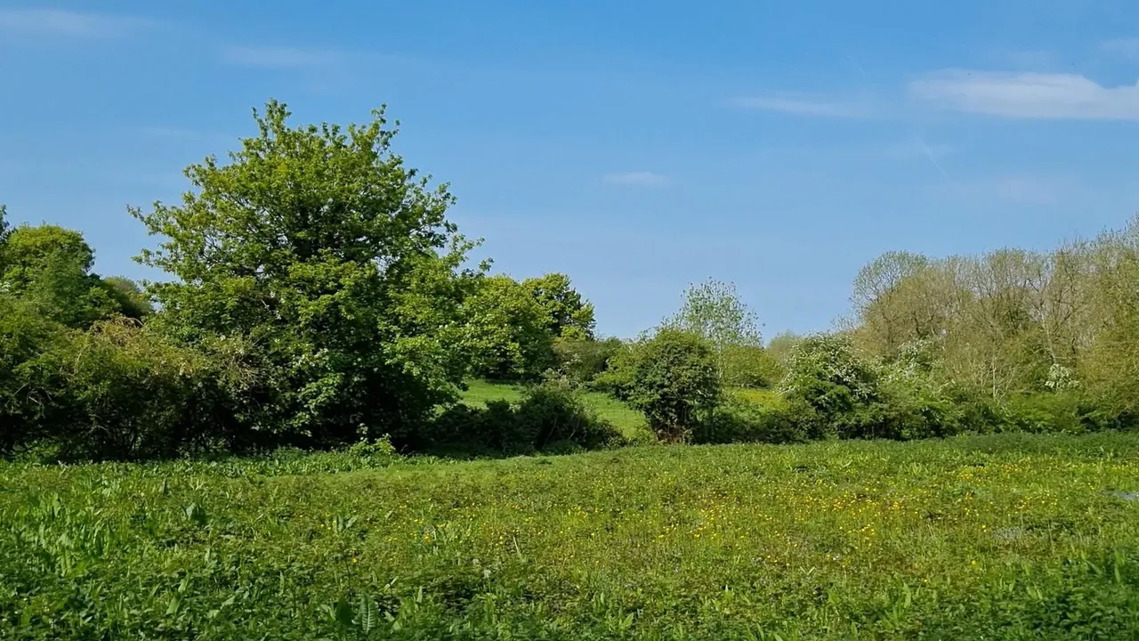 Development opportunity, Hall Lane, Harbury, Leamington Spa, CV33 9HG, photo 11