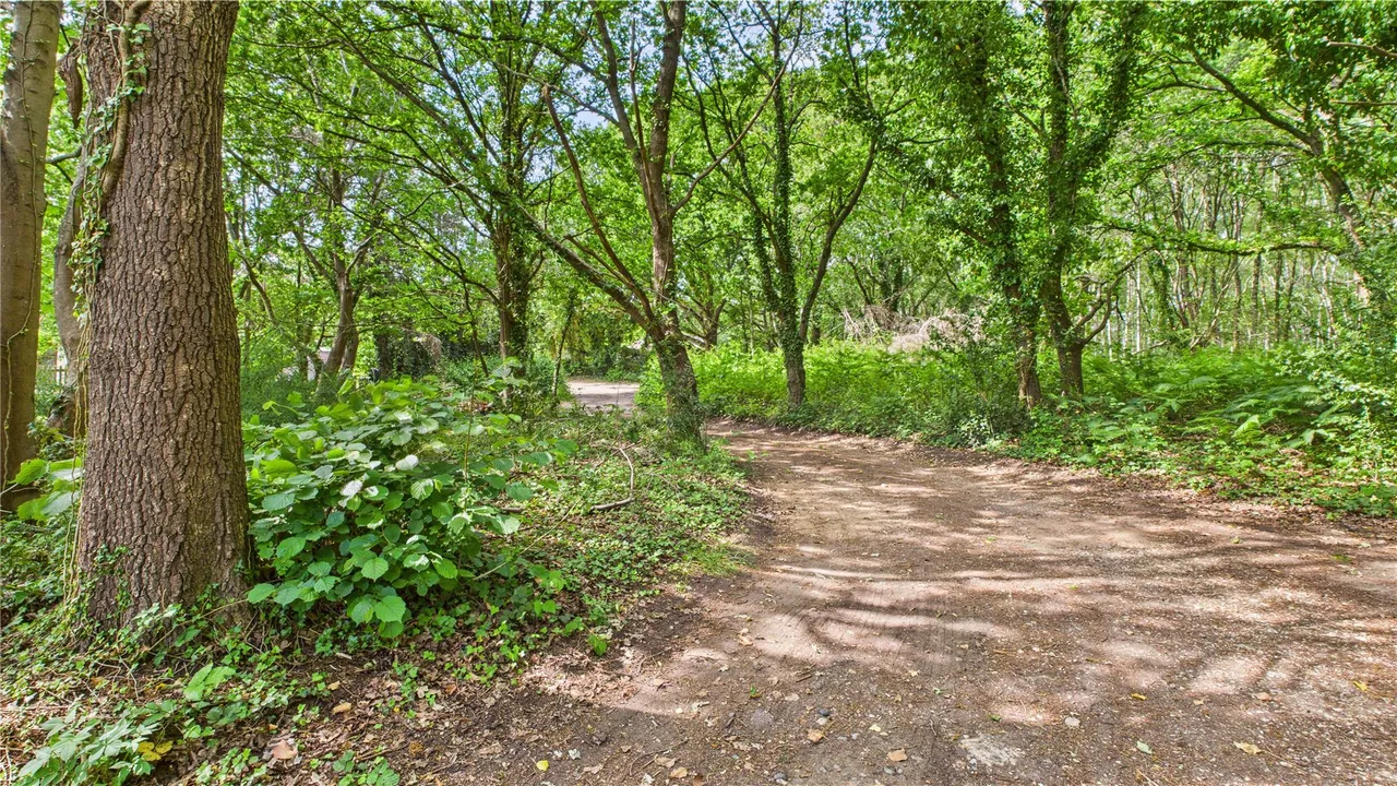 Windsor Road, Chobham, GU24, photo 17