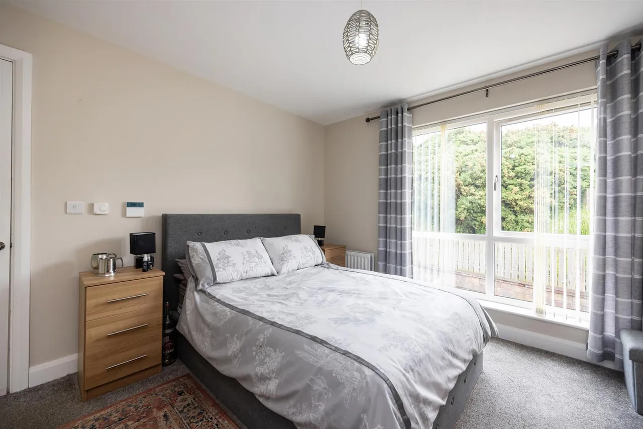 Pheasant Hill, Ballynahinch, BT24, photo 11