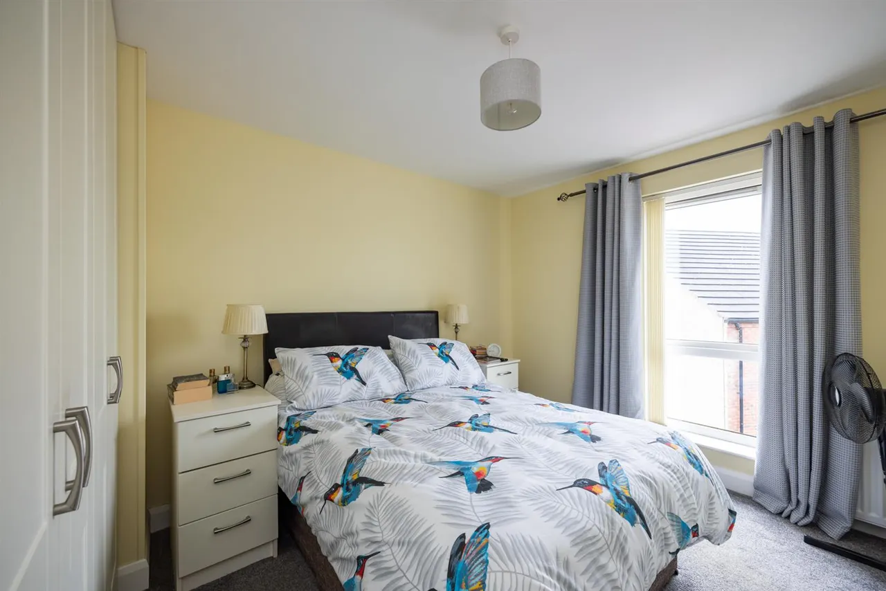 Pheasant Hill, Ballynahinch, BT24, photo 16