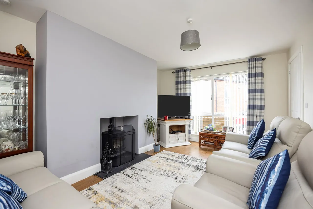 Pheasant Hill, Ballynahinch, BT24, photo 6