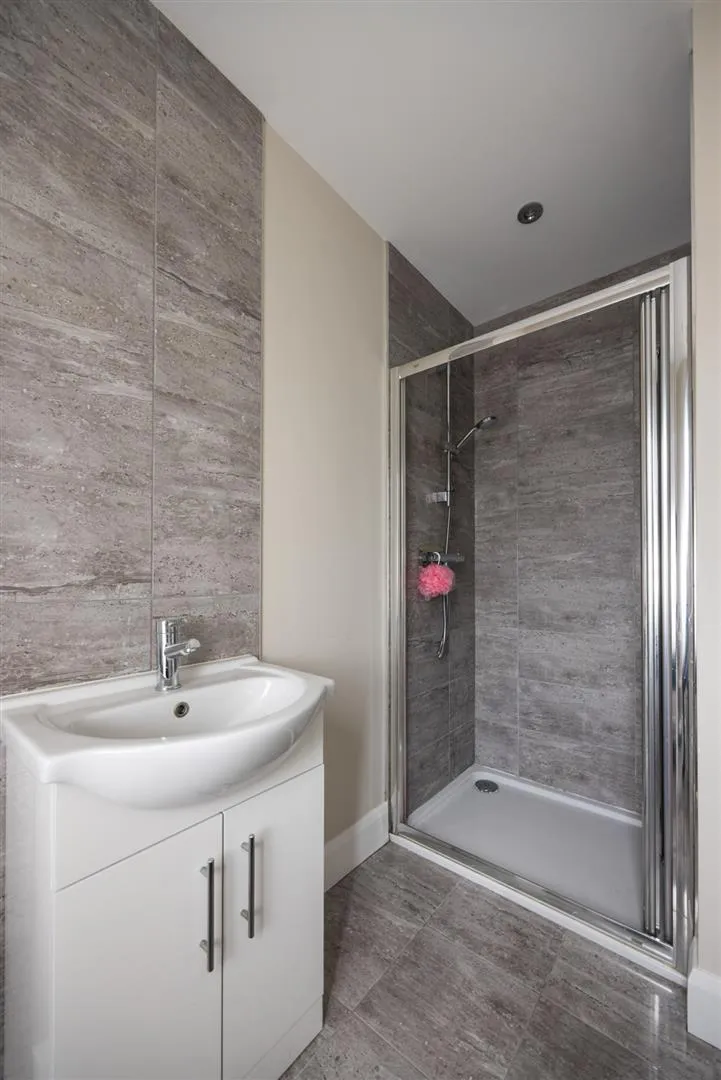 Pheasant Hill, Ballynahinch, BT24, photo 15