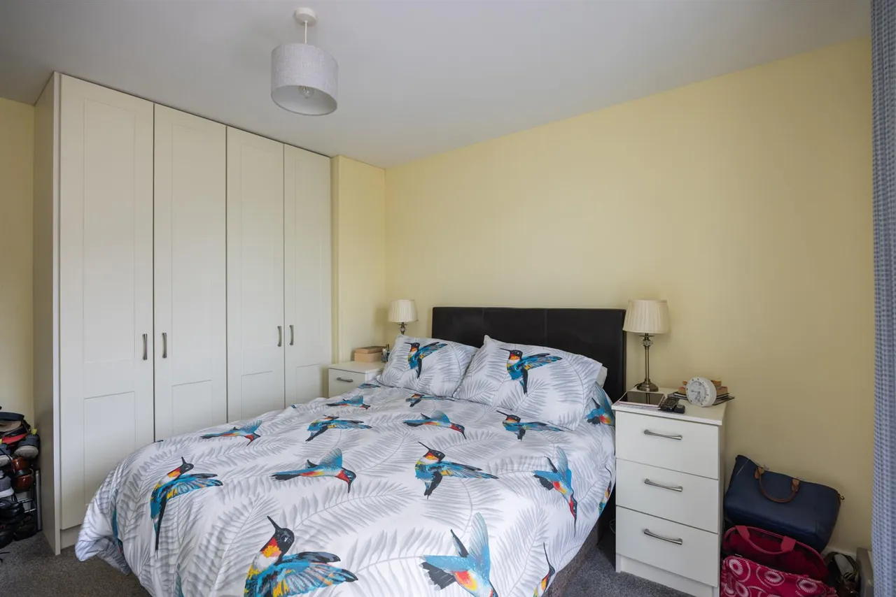 Pheasant Hill, Ballynahinch, BT24, photo 17