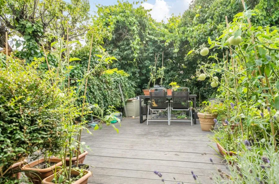 Inverness Place, Roath, CF24, photo 19