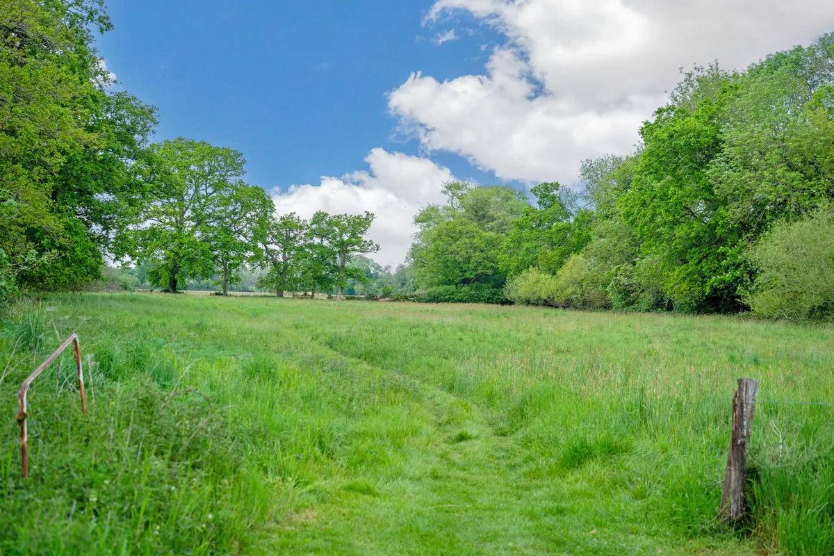 Wildmoor Sherfield-on-Loddon Hook, RG27, photo 35