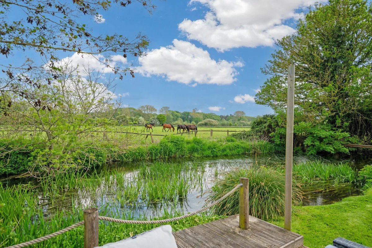 Wildmoor Sherfield-on-Loddon Hook, RG27, photo 40