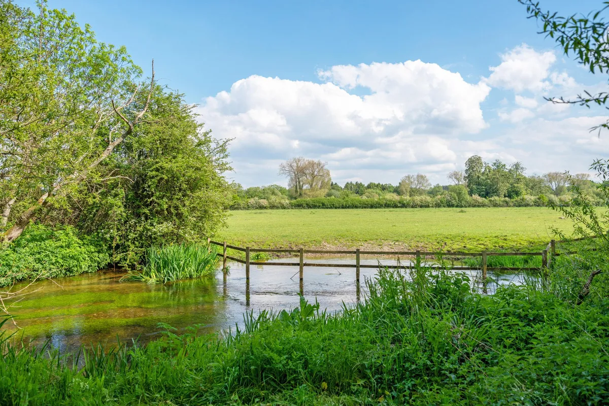 Wildmoor Sherfield-on-Loddon Hook, RG27, photo 2