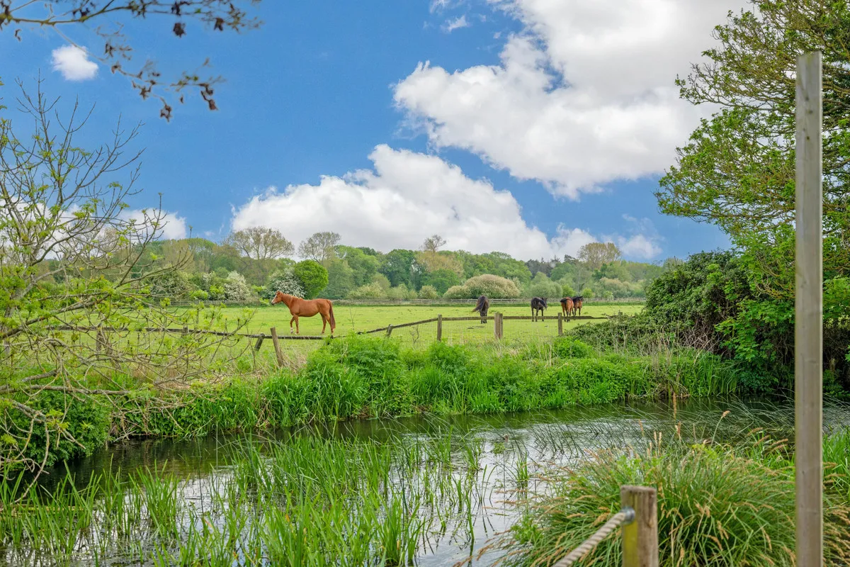 Wildmoor Sherfield-on-Loddon Hook, RG27, photo 41