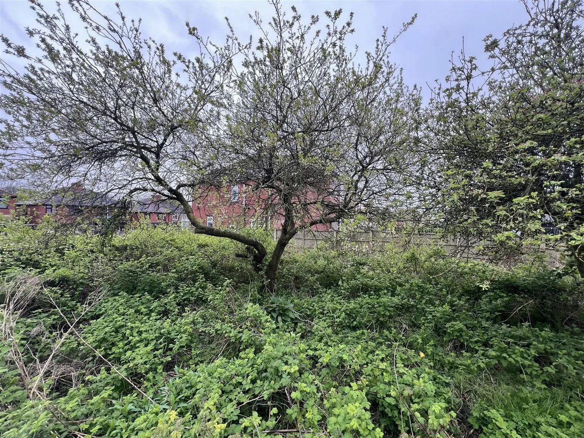 Leech Avenue, Chesterton, ST5, photo 9