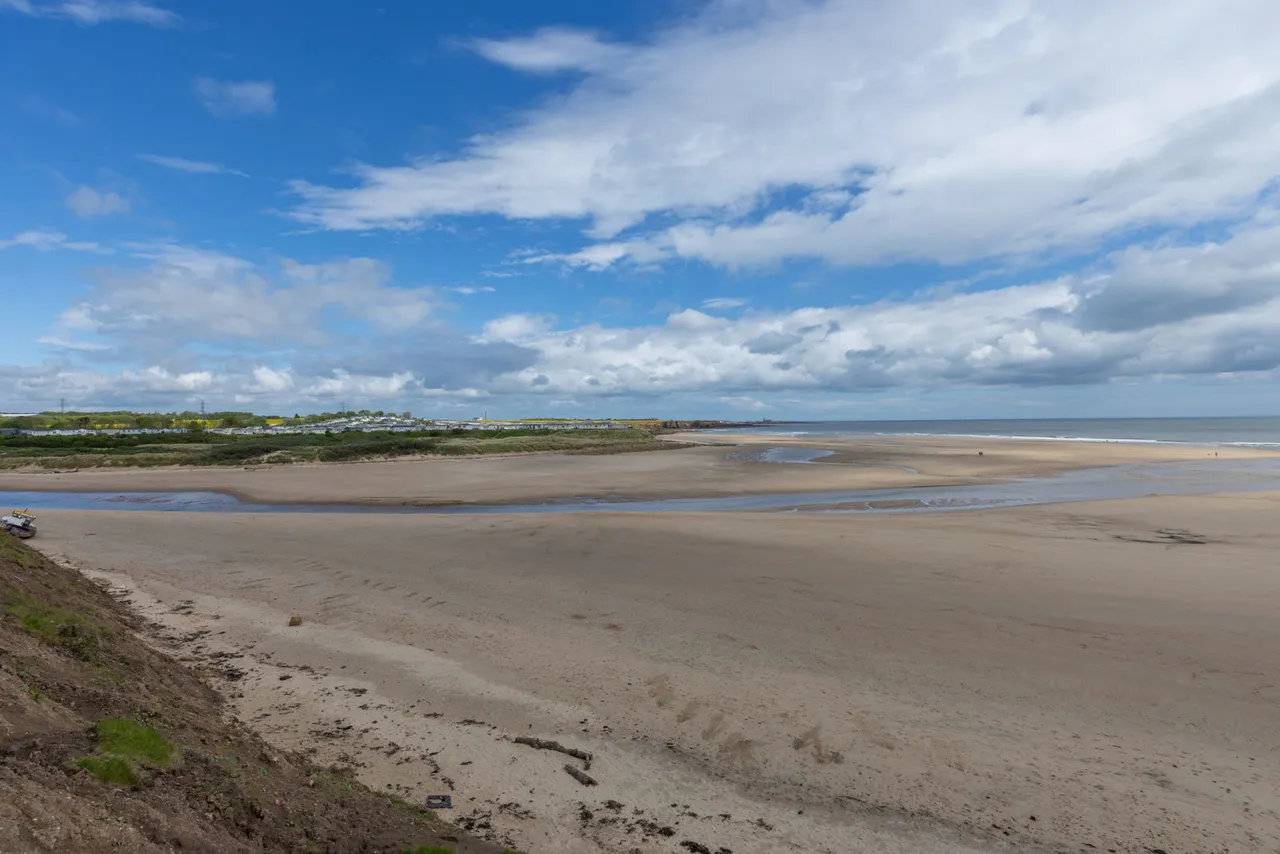 The Paddocks, Cambois, NE24, photo 19