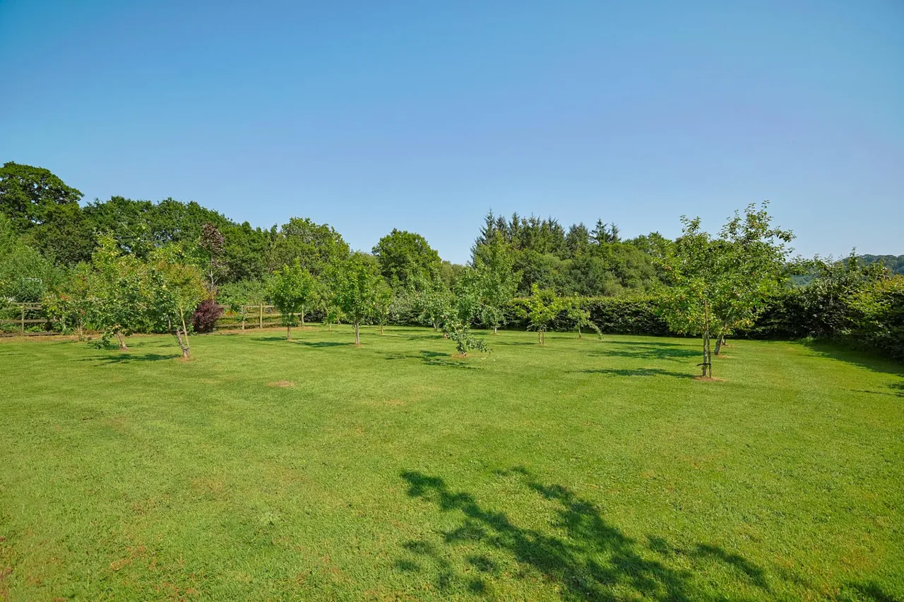 Golden Grove, photo 38