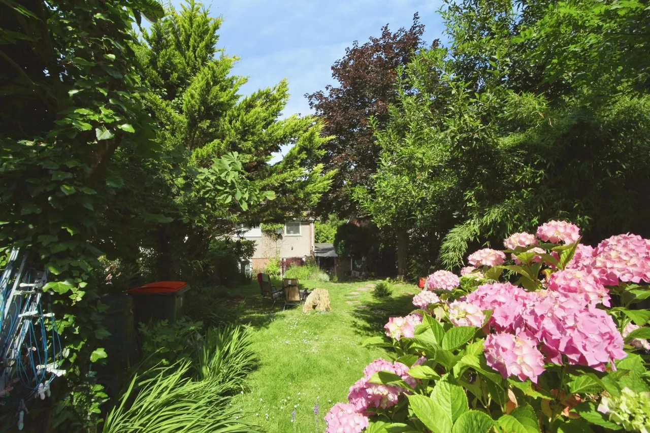 Croydon Close, Newport, NP19, photo 16