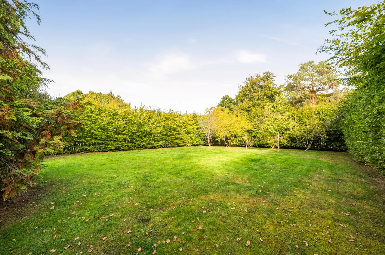 Goudhurst Road, Cranbrook, TN17, photo 17