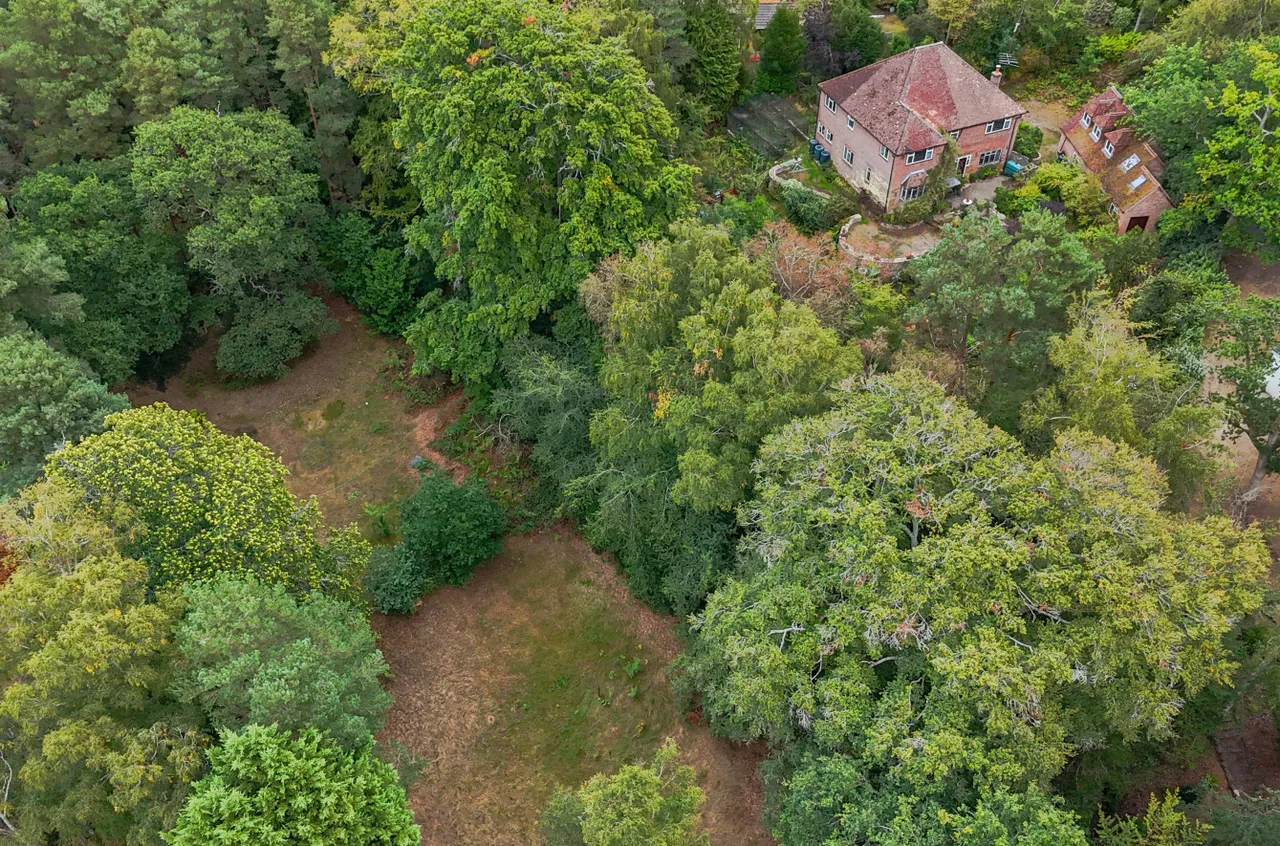 Monks Well, Farnham, Surrey, GU10 1RH, photo 2