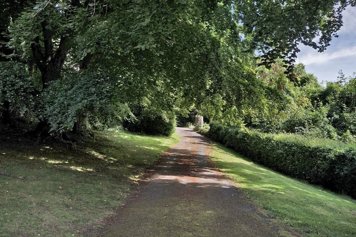 Bennett Road, Salcombe, TQ8, photo 11