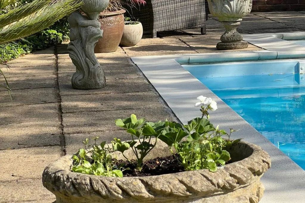 Peacock Lane, Brighton BN1 6WA, photo 35