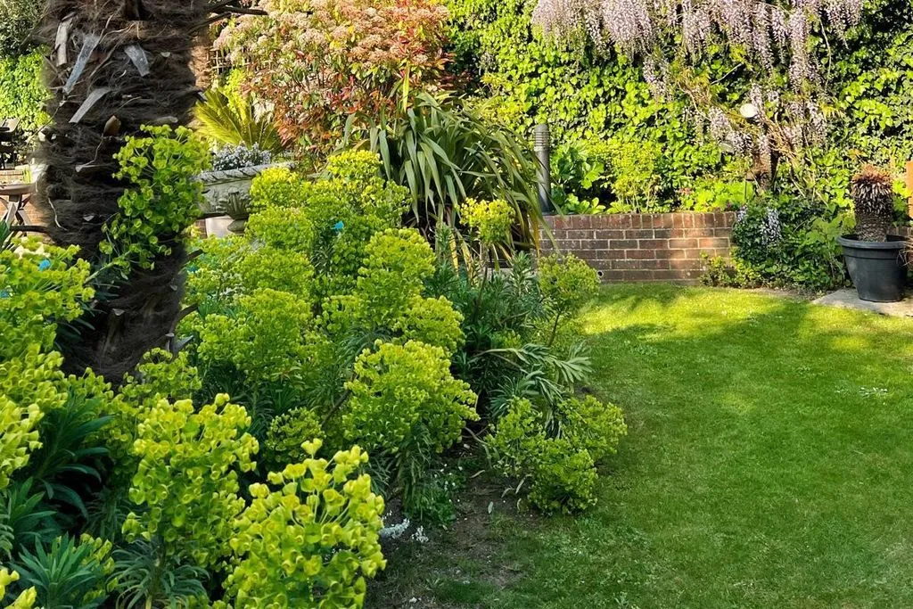 Peacock Lane, Brighton BN1 6WA, photo 28
