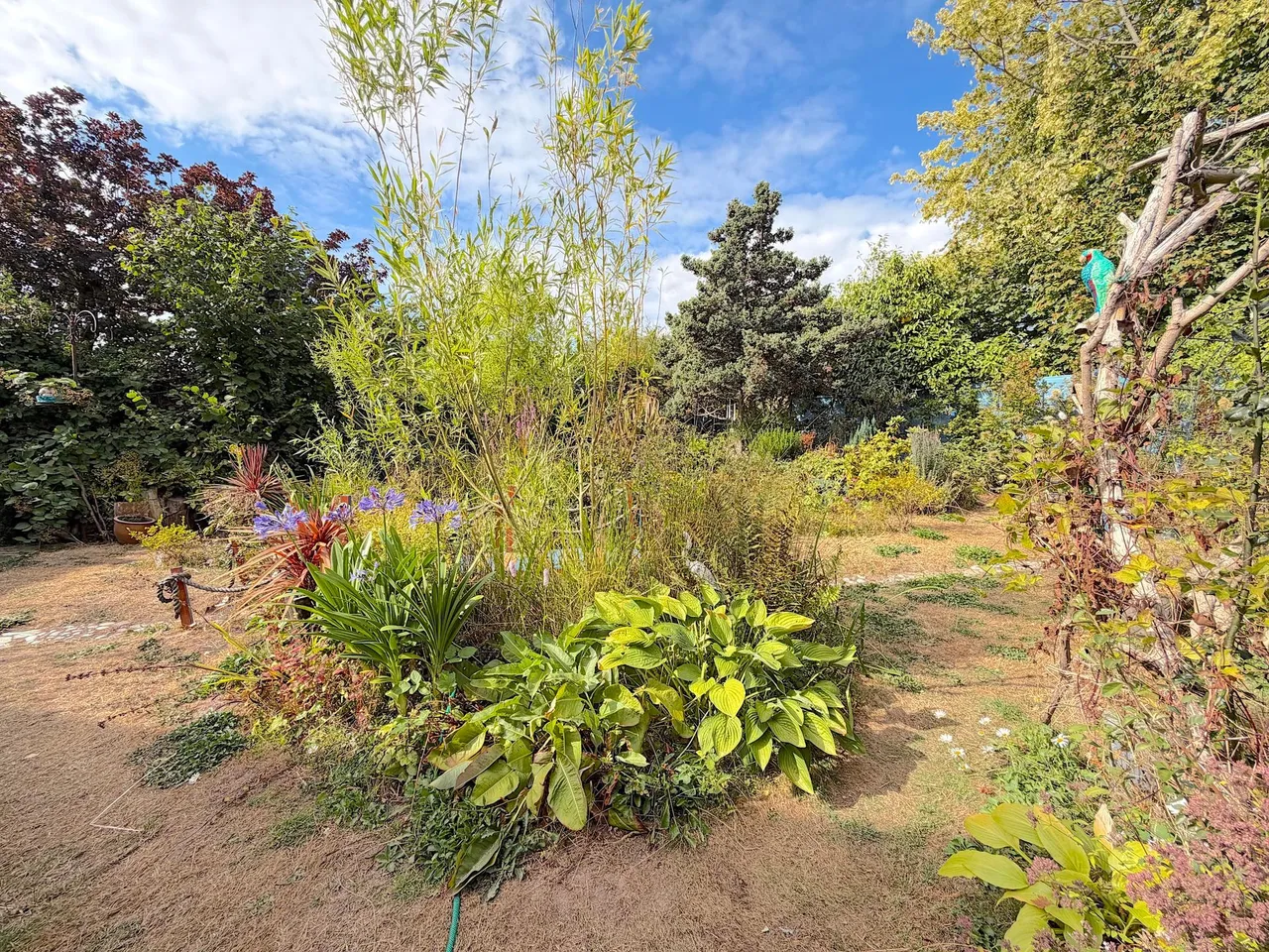 Dorchester Road, Shoal Hill, WS11, photo 31
