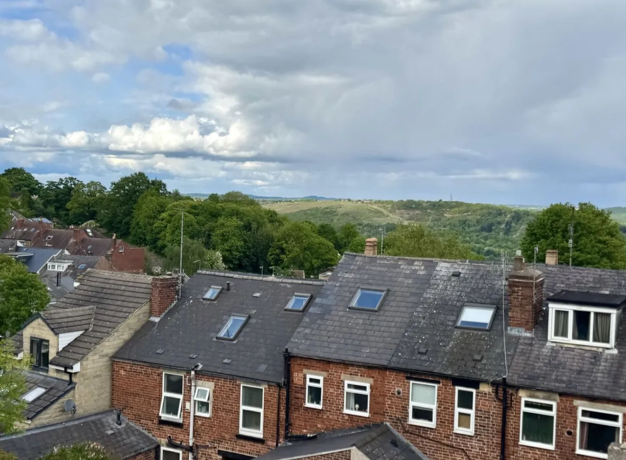 Hands Road, Sheffield, S10, photo 15