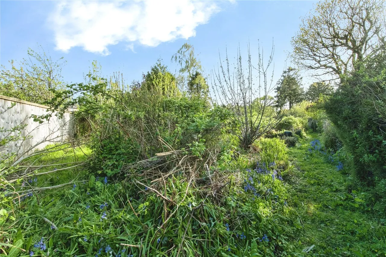 Exeter Road, Honiton, EX14, photo 6
