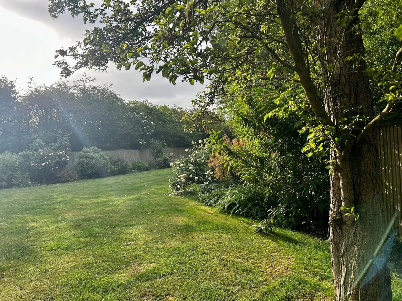Barn Owl Close, Corby Glen, NG33, photo 24